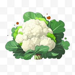 卡通蔬菜插画图片_手绘卡通蔬菜菜花