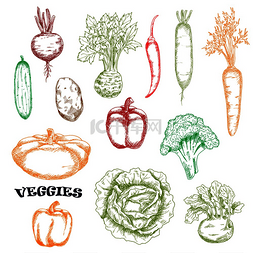 潘设计图片_胡萝卜和黄瓜、土豆和卷心菜、甜