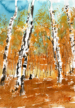 杨树林图片_秋季的树林