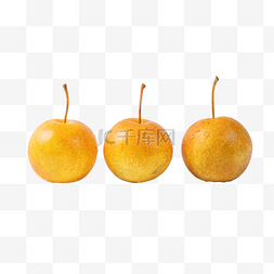 三清图片_秋季室内排列的三个秋月梨