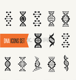 Dna、 遗传因素和图标集合