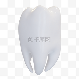 3D立体牙齿模型