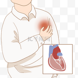 器官科普图片_人体组织器官心脏病变医学科普