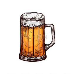 冷淡的啤酒或啤酒在杯子里孤立的