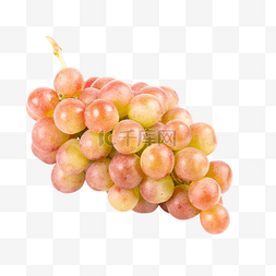 葡萄熟了图片_新鲜水果红缇葡萄