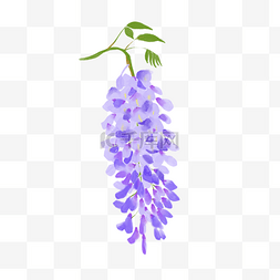 花朵植物装饰图片_水彩新鲜紫色欧丁香植物装饰