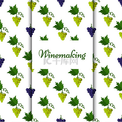 酿酒海报图片_带有紫色和蓝色孤立葡萄的酿酒海