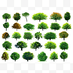 矢量森林剪影图片_集合绿色树木