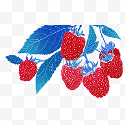 水彩手绘水果之树莓