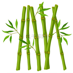 和日本图片_绿色竹子茎和叶的插图。