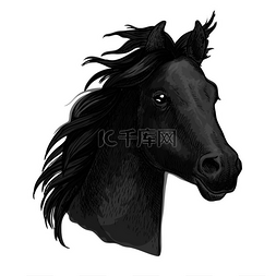 动物素描马图片_马的肖像深灰色的马鬃毛呈波浪状