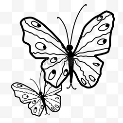 两只蝴蝶手绘图片_两只展开翅膀的线稿蝴蝶