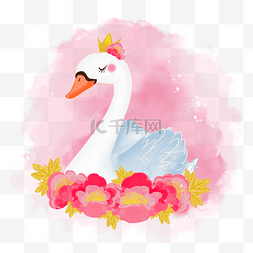 粉红色牡丹花包围水彩风格白天鹅