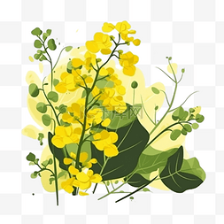油菜花手绘素材图片_卡通手绘黄色油菜花