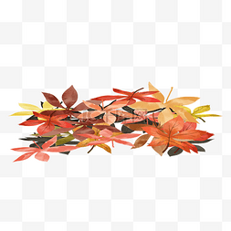 秋天落叶堆树叶