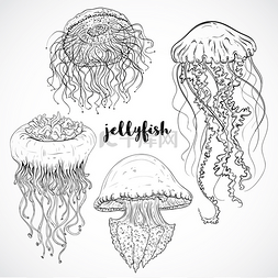 Collection of jellyfish. Vintage set of black