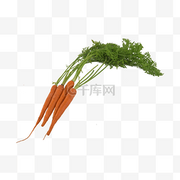 根类蔬菜图片_胡萝卜素食橙色堆叠