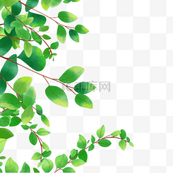 茂盛枝条植物水彩尤加利叶边框