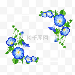 花卉装饰标签图片_水彩蓝色牵牛花卉白色边框
