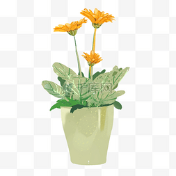 卡通室内装饰品图片_室内盆栽植物开着黄花