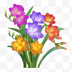 花卉修剪图片_苍兰彩色花朵水彩花卉