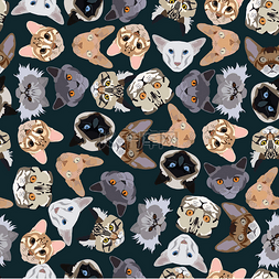 阿西图片_flat dark seamless pattern pedigree cats