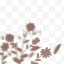 花卉灰色图片_花卉阴影重叠咖啡色