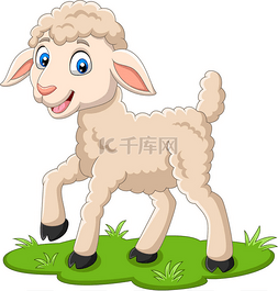 卡通快乐羔羊在草地上的矢量插图