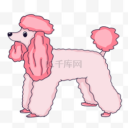 贵宾犬小狗PNG图片_粉色贵宾犬剪贴画