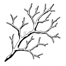 树光秃秃图片_干光秃秃的树枝的插图。