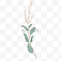 花朵植物小绿叶子图片_水彩植物和小花朵