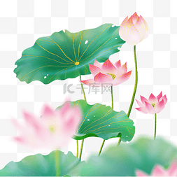 24j节气插画图片_中国风夏天荷花