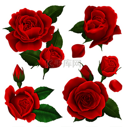 红色花朵复古图片_彩色和孤立的现实玫瑰花图标集与