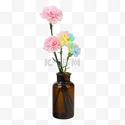 花卉花瓶图片_小清新彩色康乃馨花瓶摆件