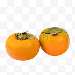 秋季果实脆柿子