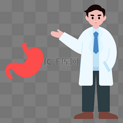 胃部器官图片_人体器官肠胃胃部