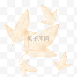 秋季树叶秋天叶脉枯叶透明