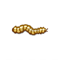 蠕虫图片_毛毛虫蜗牛害虫孤立的米色脂肪蠕