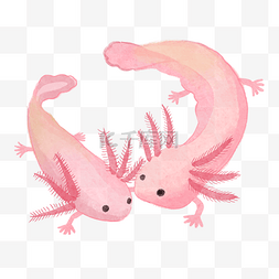蝾螈水彩可爱动物粉红色两个