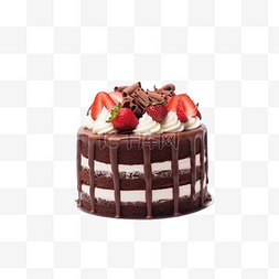佳能图片_巧克力草莓蛋糕5