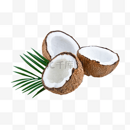 椰子树树木图片_椰子食品植物圆形