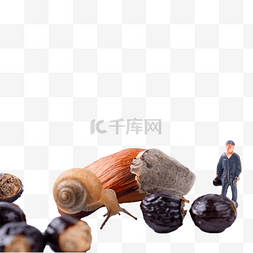 微距小人勘探果壳中的蜗牛