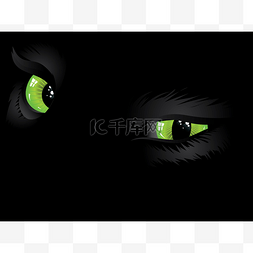猫眼看世界图片_绿色猫眼睛在黑暗中