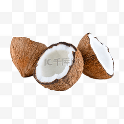 椰子保龄球图片_椰子美味椰子树自然