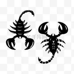 蝎子纹身雌性动物