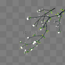 树枝露水免扣素材图片_立春梨花树枝