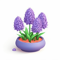 紫色的植物图片_一朵紫色的风信子