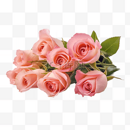 高柜鲜花图片_高清免扣花卉摄影粉玫瑰设计素材