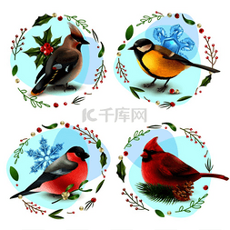 花环装饰框图片_设计理念与冬季鸟类、雪花、云杉