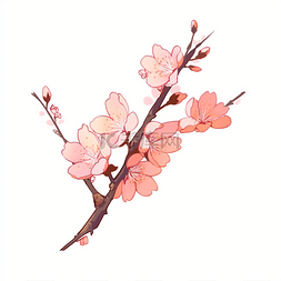 粉色插画质感盛开的桃花